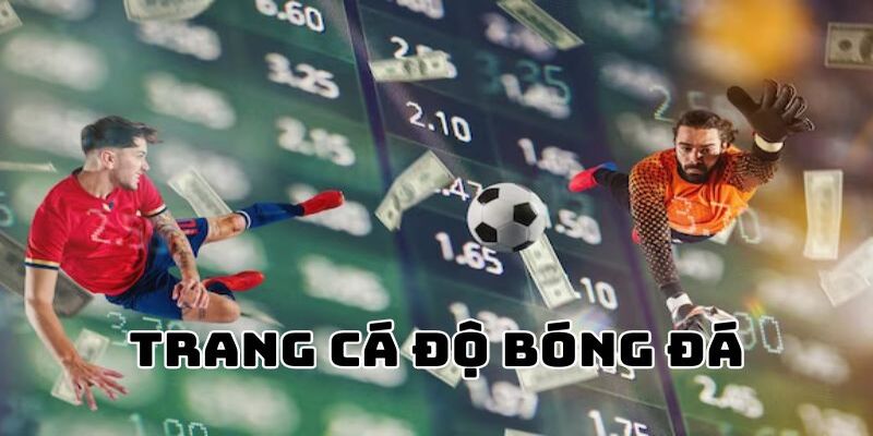 Nhà cái bóng đá uy tín cần những điều kiện gì?