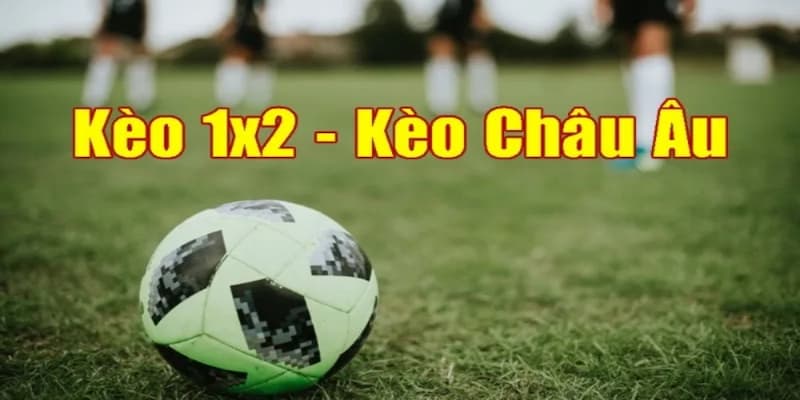 Bạn sẽ đặt cược kèo 1x2 vào 1 trong 3 cửa cược cơ bản