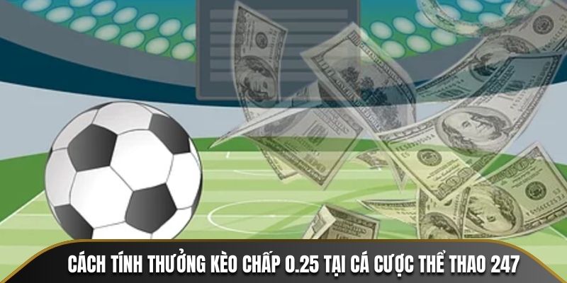 Cách tính thưởng kèo chấp 0.25 tại Cá Cược Thể Thao 247